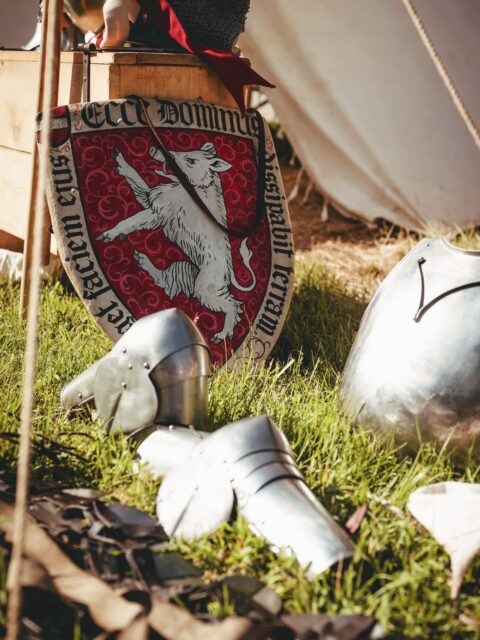 Memories of @bitva.trocnov 

@raphaelfahn 's shield, done by @sahra.wombat 

Photo by: @chlup.to
